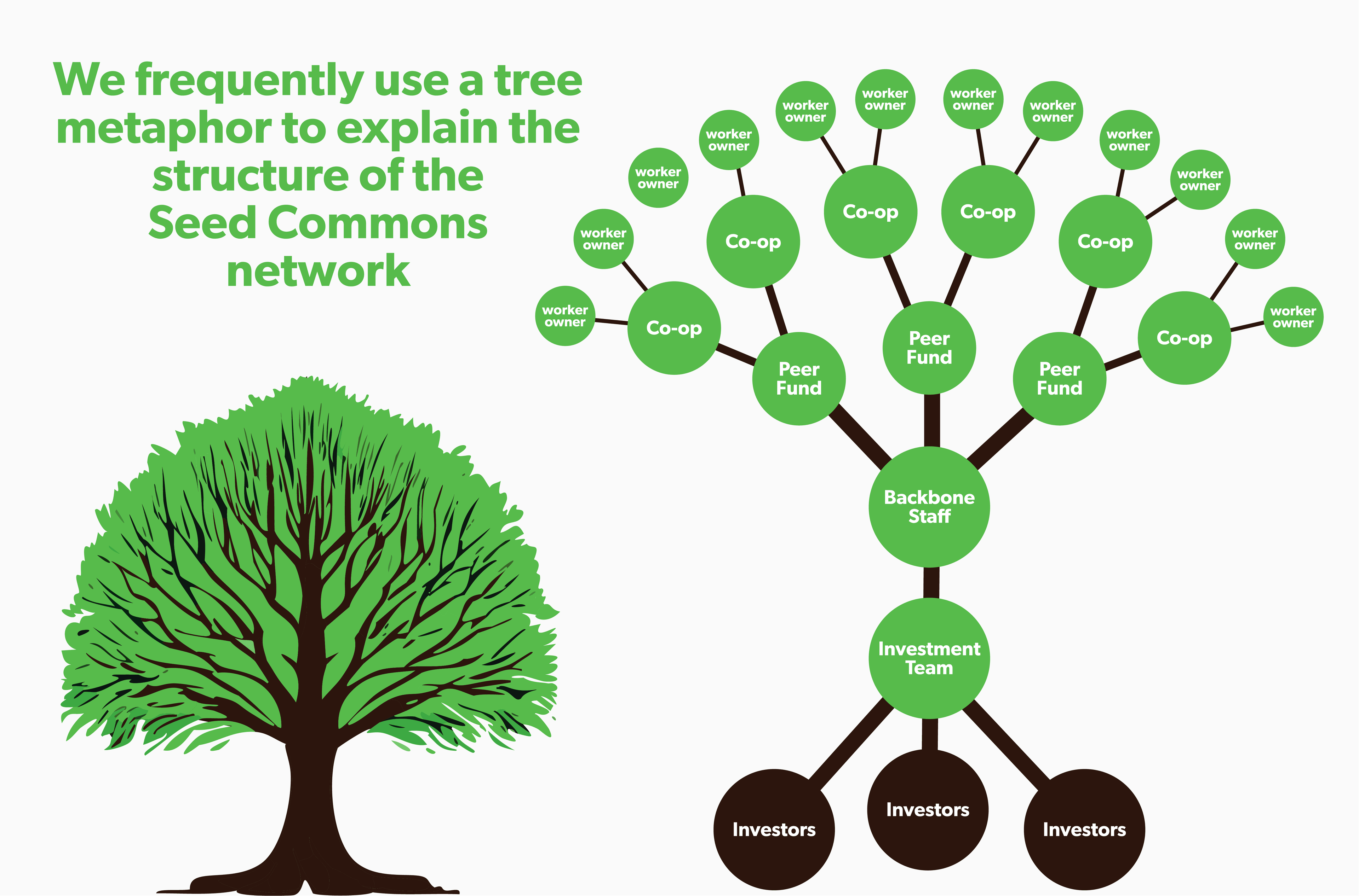 A diagram of the Seed Commons network as a tree